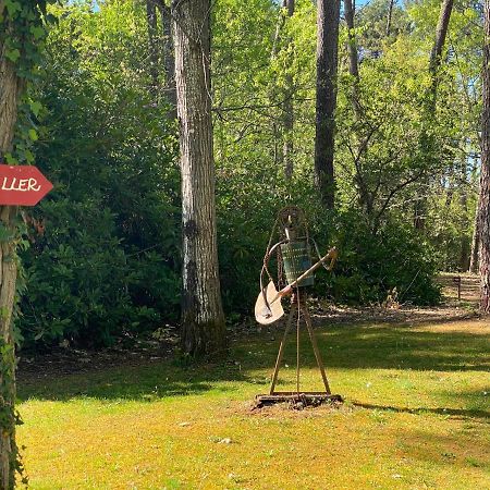 Le Petit Poulailler Au Beau Milieu Des Pins Villa Lacanau Buitenkant foto