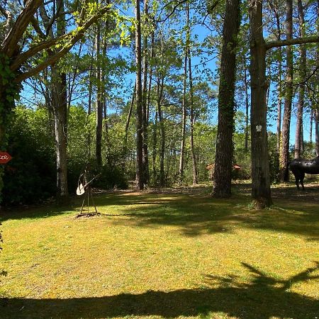 Le Petit Poulailler Au Beau Milieu Des Pins Villa Lacanau Buitenkant foto