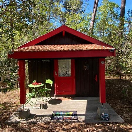 Le Petit Poulailler Au Beau Milieu Des Pins Villa Lacanau Buitenkant foto