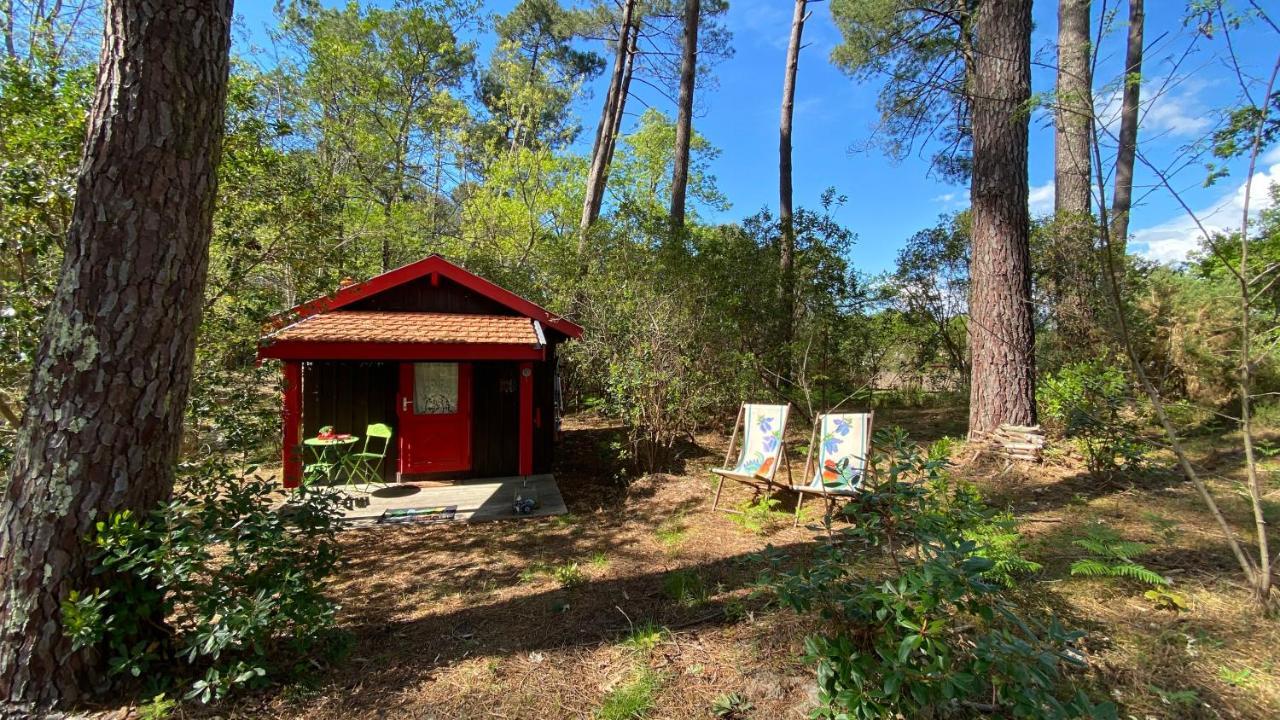 Le Petit Poulailler Au Beau Milieu Des Pins Villa Lacanau Buitenkant foto