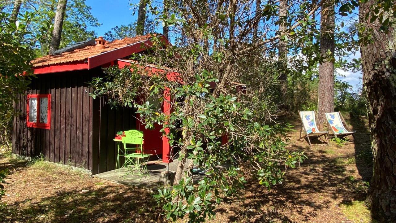 Le Petit Poulailler Au Beau Milieu Des Pins Villa Lacanau Buitenkant foto
