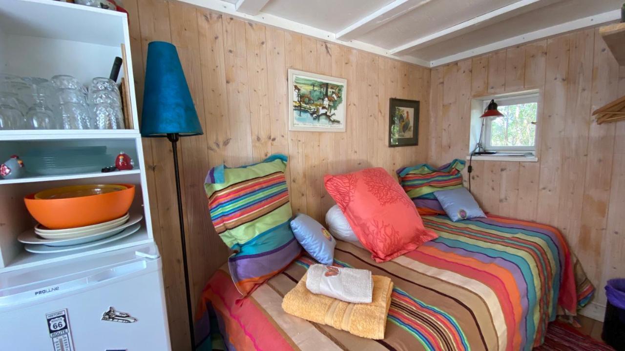Le Petit Poulailler Au Beau Milieu Des Pins Villa Lacanau Buitenkant foto