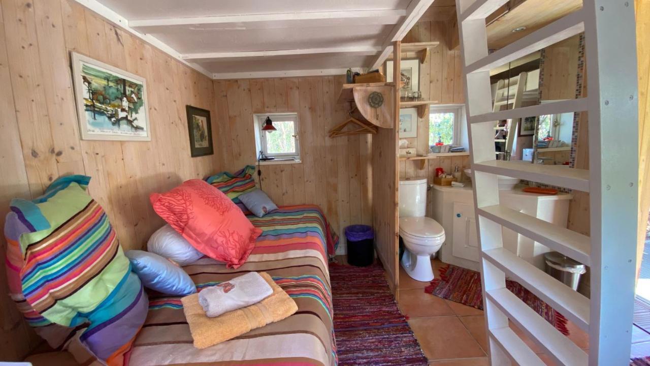 Le Petit Poulailler Au Beau Milieu Des Pins Villa Lacanau Buitenkant foto