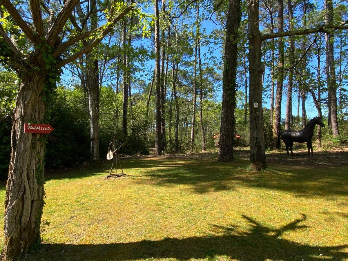 Le Petit Poulailler Au Beau Milieu Des Pins Villa Lacanau Buitenkant foto