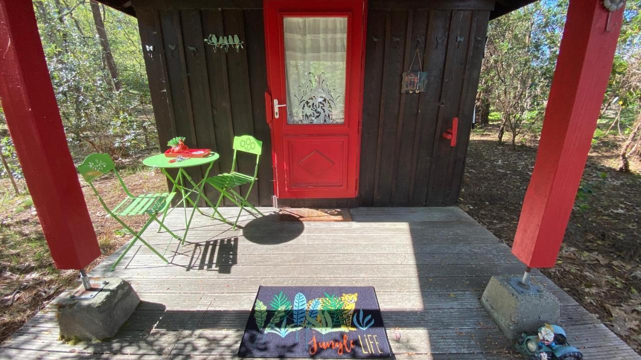 Le Petit Poulailler Au Beau Milieu Des Pins Villa Lacanau Buitenkant foto