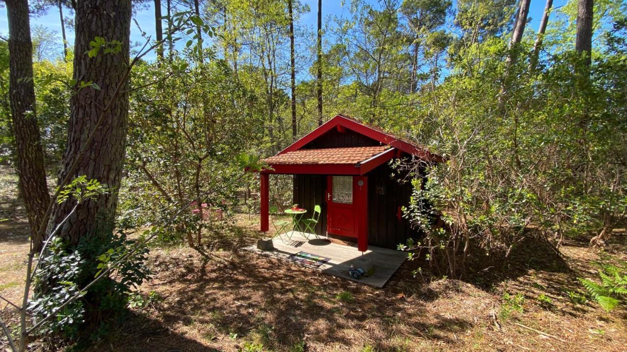Le Petit Poulailler Au Beau Milieu Des Pins Villa Lacanau Buitenkant foto