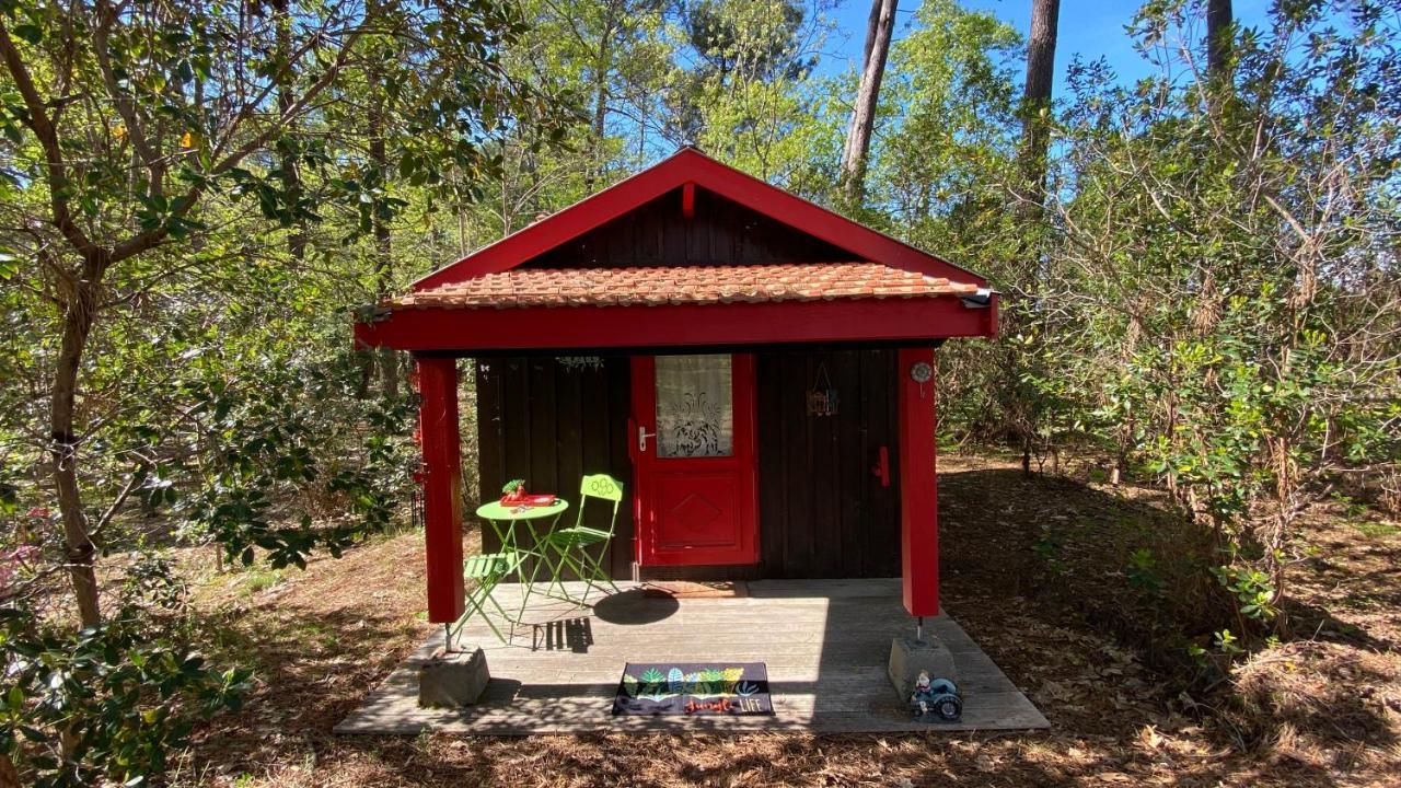 Le Petit Poulailler Au Beau Milieu Des Pins Villa Lacanau Buitenkant foto