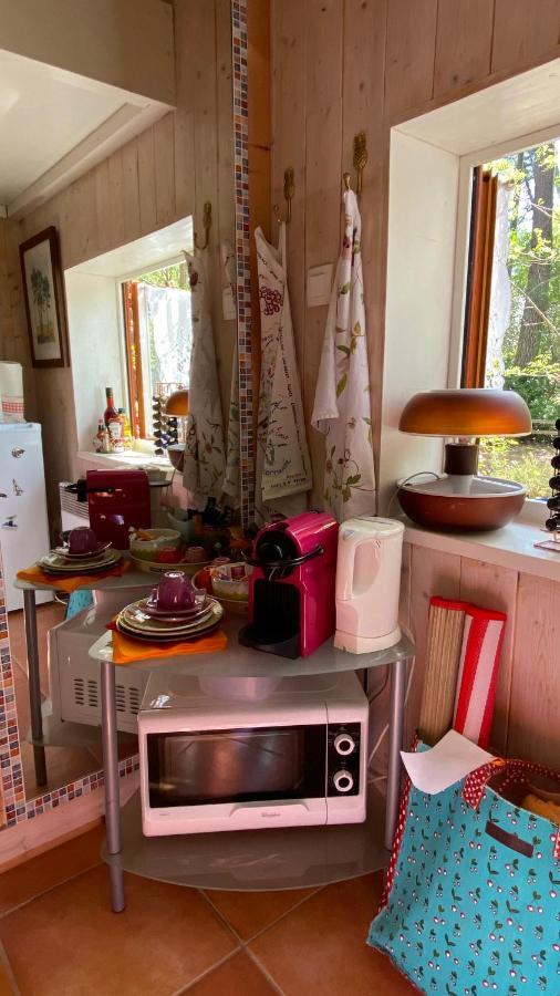 Le Petit Poulailler Au Beau Milieu Des Pins Villa Lacanau Buitenkant foto