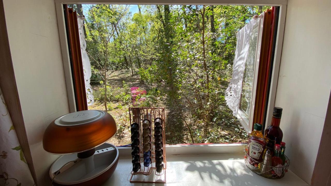 Le Petit Poulailler Au Beau Milieu Des Pins Villa Lacanau Buitenkant foto