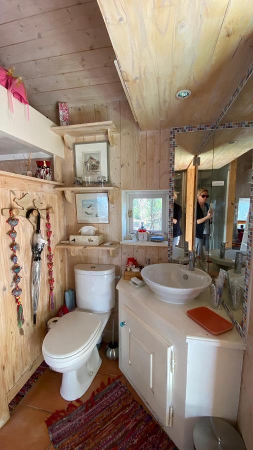 Le Petit Poulailler Au Beau Milieu Des Pins Villa Lacanau Buitenkant foto