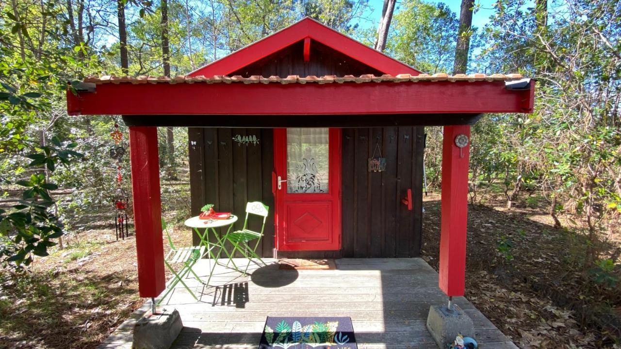 Le Petit Poulailler Au Beau Milieu Des Pins Villa Lacanau Buitenkant foto
