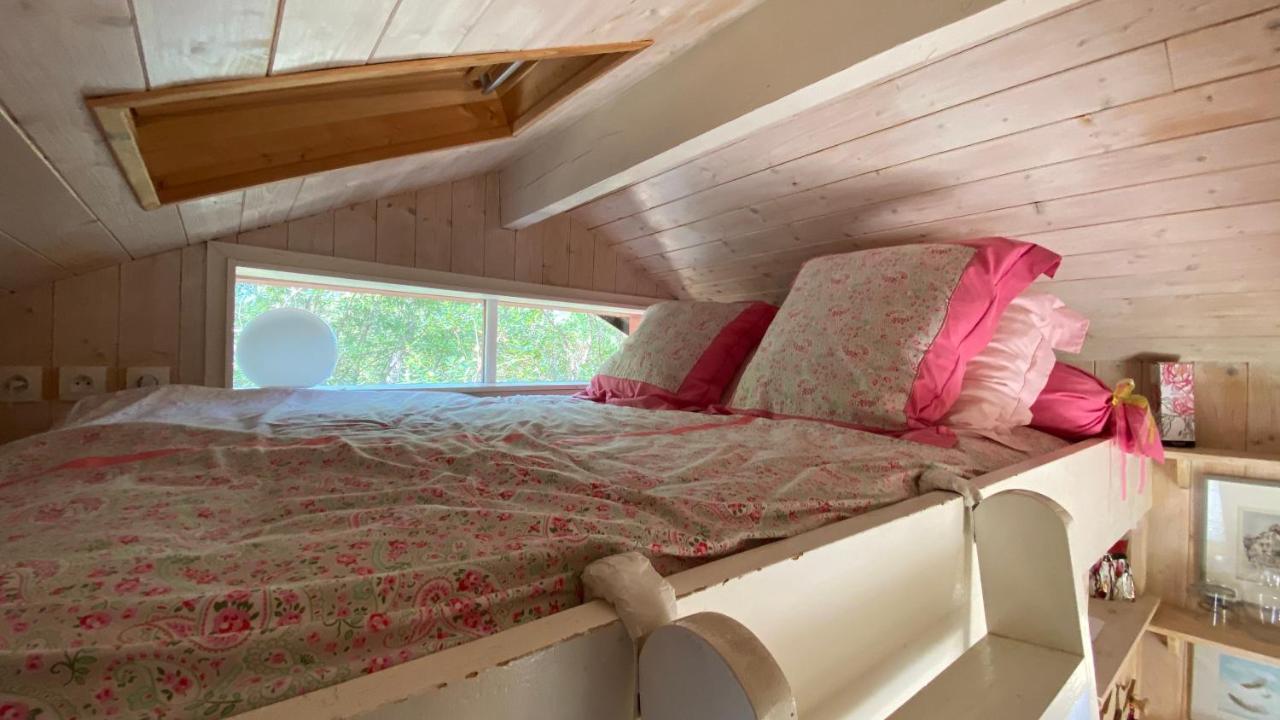 Le Petit Poulailler Au Beau Milieu Des Pins Villa Lacanau Buitenkant foto