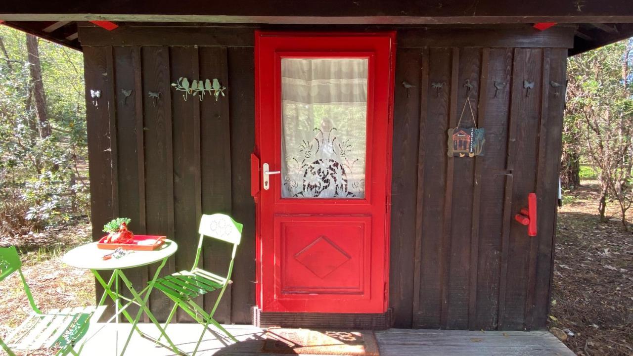 Le Petit Poulailler Au Beau Milieu Des Pins Villa Lacanau Buitenkant foto