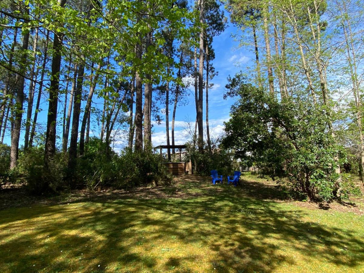 Le Petit Poulailler Au Beau Milieu Des Pins Villa Lacanau Buitenkant foto